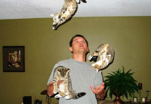 Top 5 mascotas para malabaristas