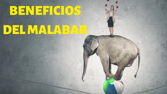 BENEFICIOS DEL MALABAR