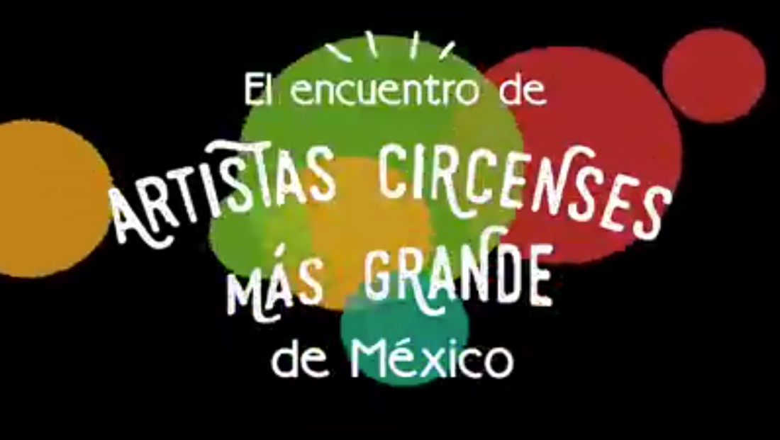 Cartel de Talleristas Circonvención 2019